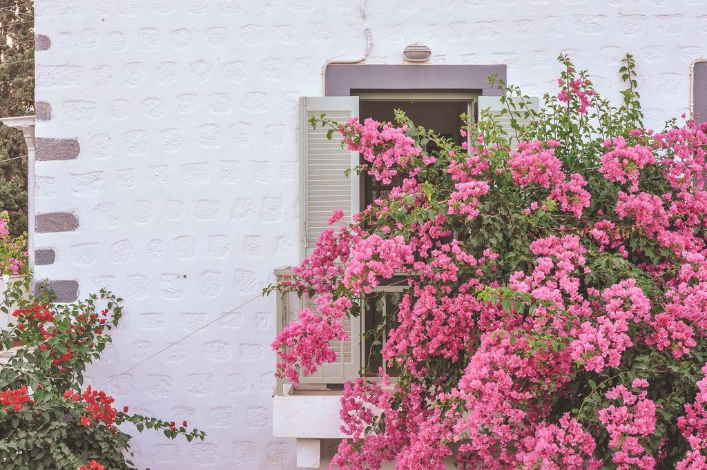 Patmos Villas Grikos Bay  Zewnętrze zdjęcie